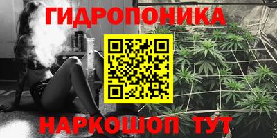 твердый Лесосибирск