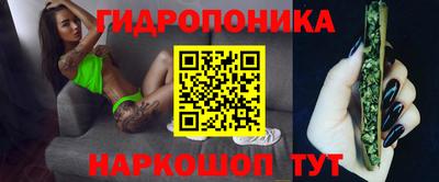 твердый Лесосибирск