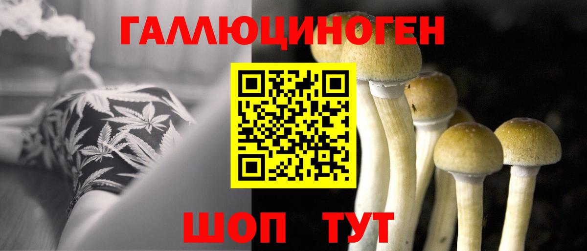 Чита  Псилоцибиновые грибы прущие грибы  как найти наркотики  Вход с VPN 